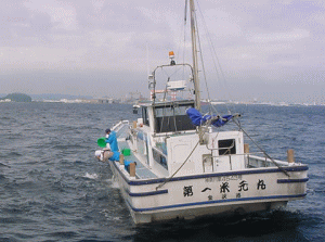 平成17年 マダイ放流