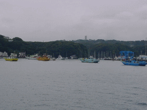 平成17年 マダイ放流