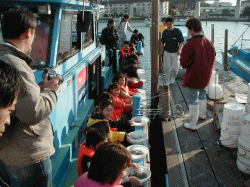 平成14年 クロソイ放流