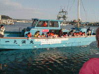 平成14年 クロソイ放流