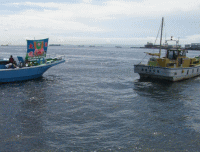 平成21年 メバル放流