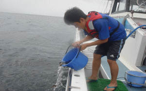 平成22年 メバル放流