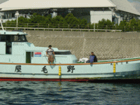 平成23年 カサゴ放流