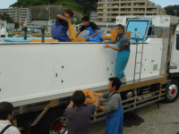 平成24年 カサゴ放流