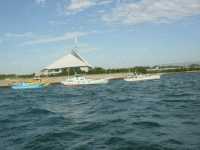 平成24年 カサゴ放流