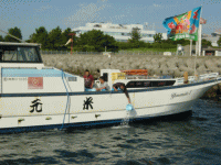 平成24年 カサゴ放流