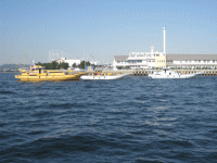 平成25年 カサゴ放流