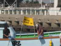 平成25年 カサゴ放流