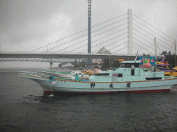 平成27年 メバル放流