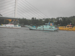 平成27年 メバル放流