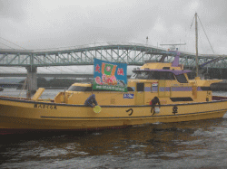 平成28年 メバル放流