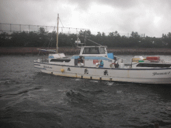 平成28年 メバル放流