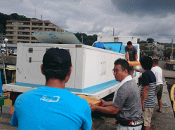 平成29年 ヒラメ放流