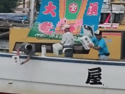 平成29年 ヒラメ放流