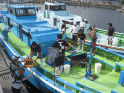 平成30年 カサゴ放流