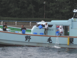 平成30年 カサゴ放流