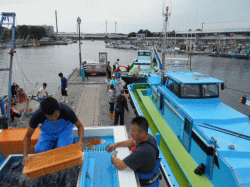 令和元年 ヒラメ放流