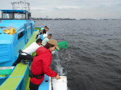 令和元年 ヒラメ放流