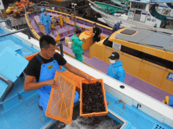 令和2年放流活動