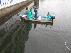 清掃活動の様子