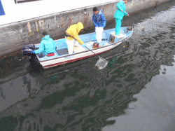 清掃活動の様子