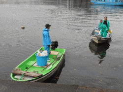 清掃活動の様子