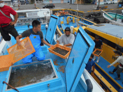 令和3年放流活動