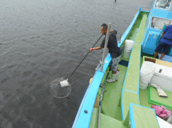 清掃活動の様子
