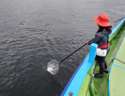 清掃活動の様子