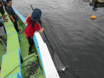 清掃活動の様子