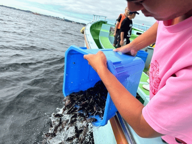 放流の様子
