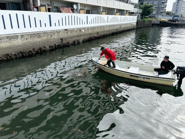 清掃活動の様子