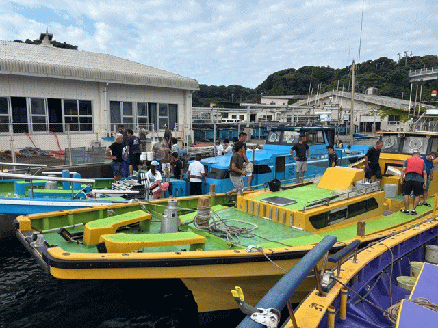 令和7年放流活動