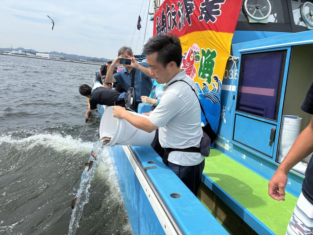 八景沖でマダイの稚魚を放流する様子