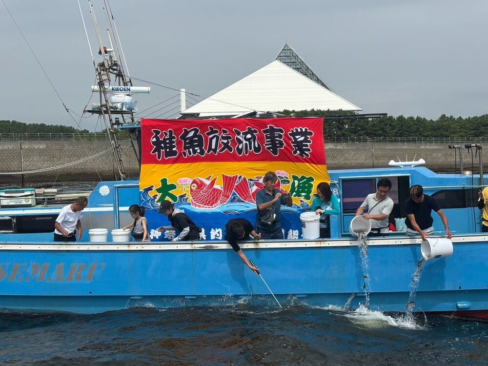 船上から一斉に稚魚を放流する様子