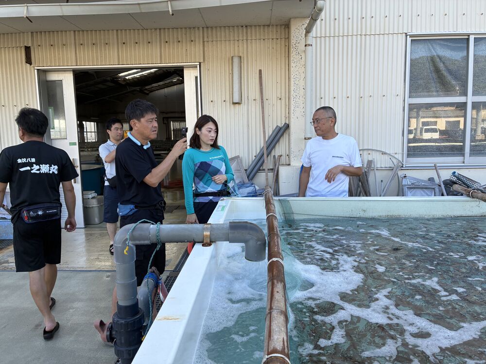 神奈川県栽培漁業協会でマダイの稚魚について説明を受ける様子