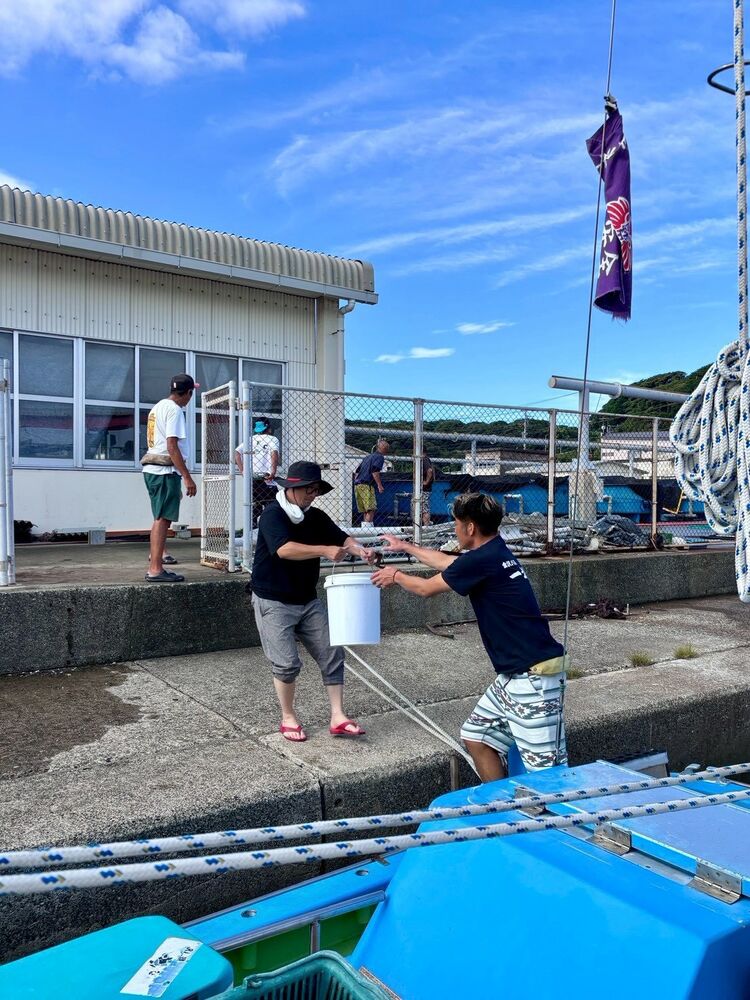 バケツリレーで稚魚を船へ積み込む様子