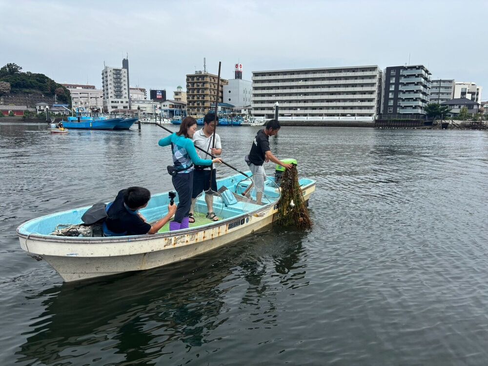 回収した藻を船に引き上げる様子