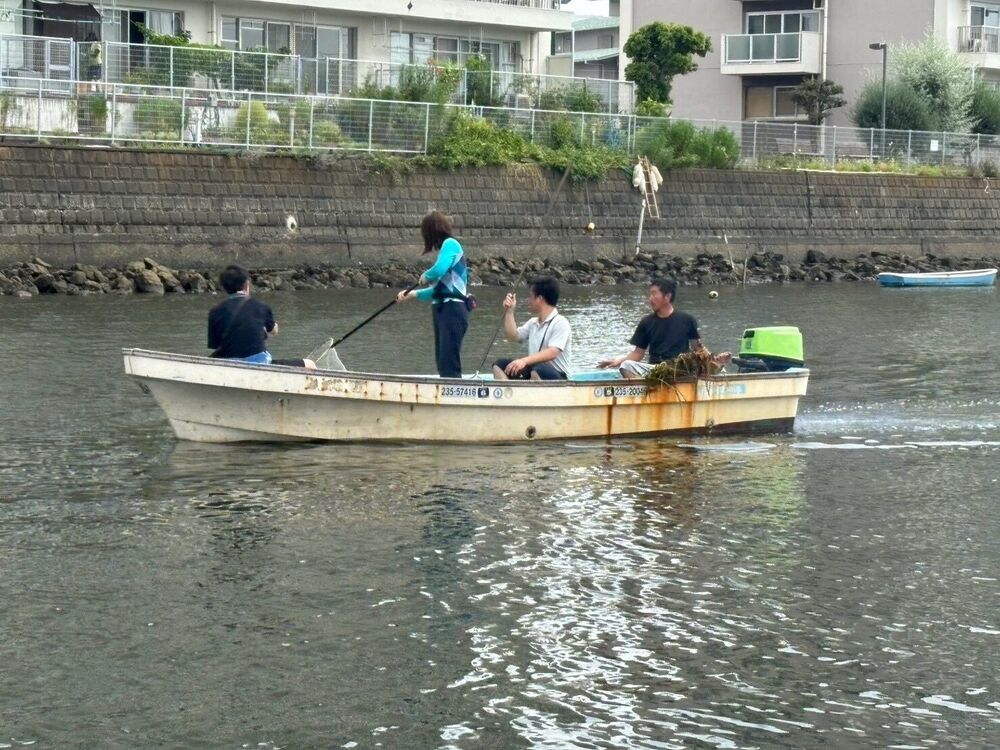 岸壁沿いで藻を回収する様子
